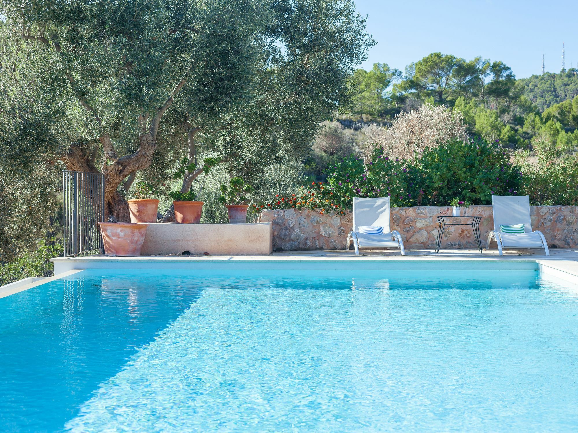 Villa Finca Luisa Para 6 Con Piscina Y Vista Mar Port D'Andratx Eksteriør bilde